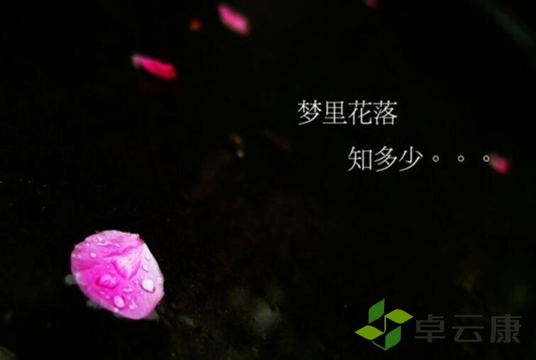QQ截图20221210163550