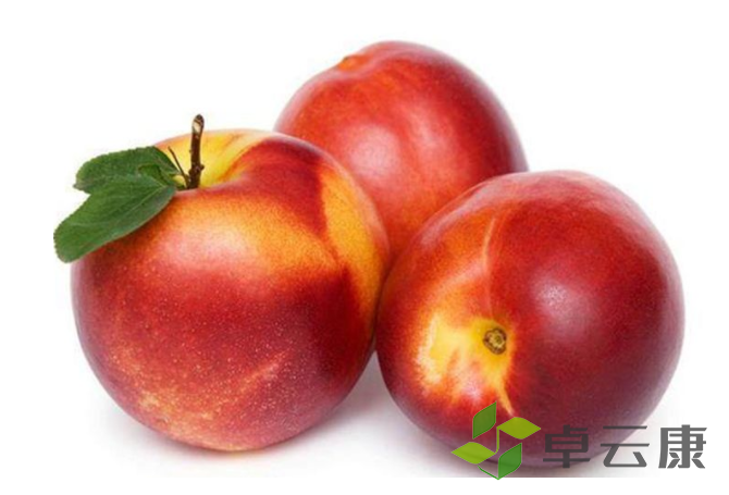 微信截图_20221210170911
