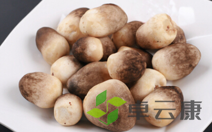 QQ截图20221210225201