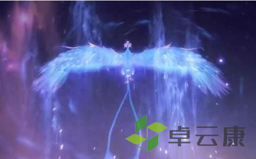 微信截图_20221211110302