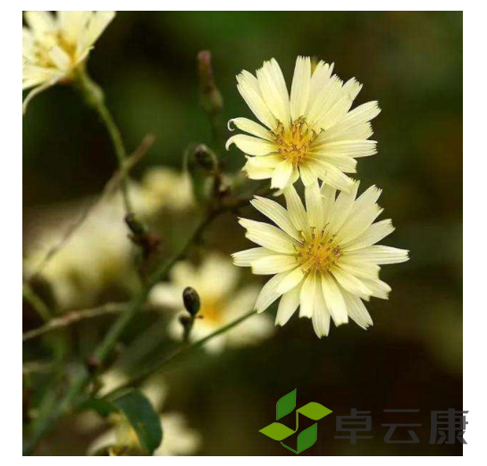 微信截图_20221211121348