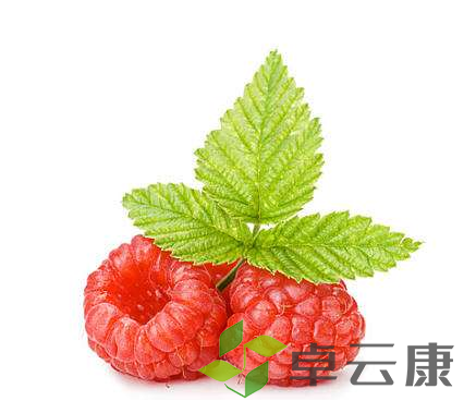 微信截图_20221211134006