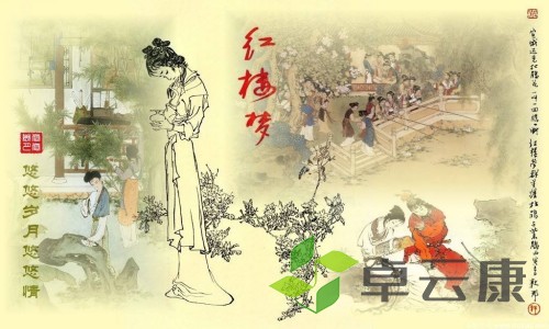 24-1P116154033R4_副本