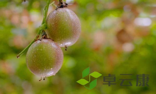 801-210Q01G3402I_副本