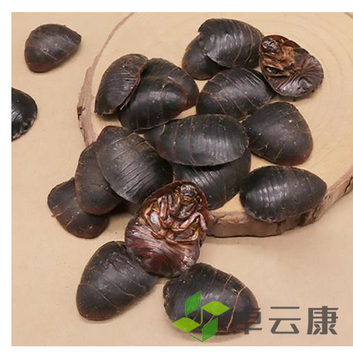 微信截图_20221211201806