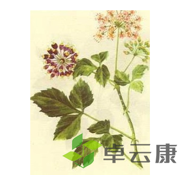 微信截图_20221212135142