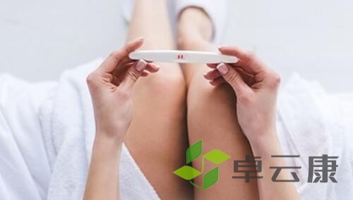 QQ截图20221212140741