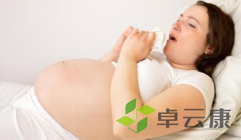 QQ截图20221212142348