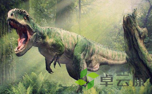 微信截图_20221212145644