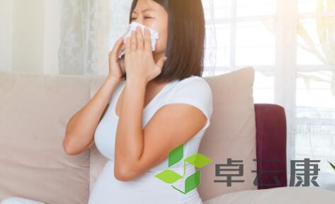 QQ截图20221212151826