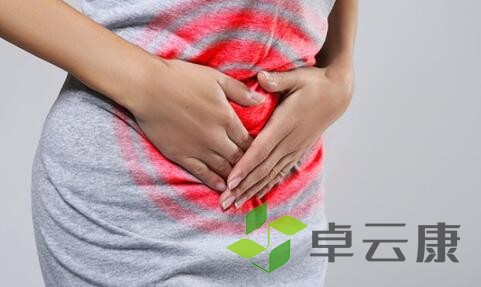 QQ截图20221212151911