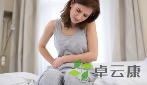 QQ截图20221212155239