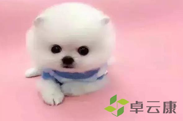 360截图20221212161434606