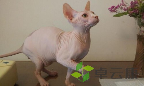 798-21120G41403_副本
