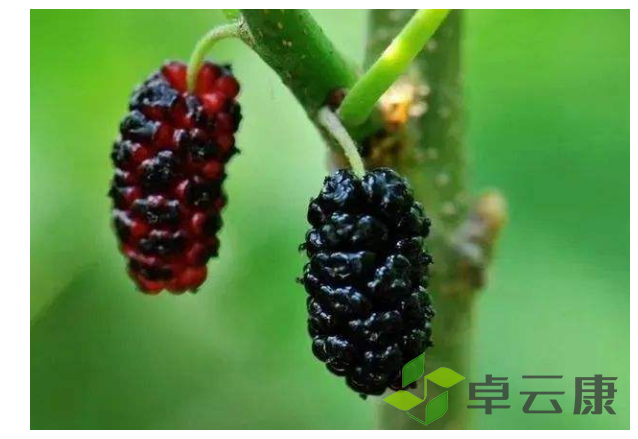 微信截图_20221212175525