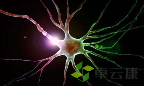 45-191112115H4G2_副本