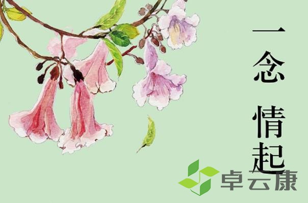 360截图20221212210357134
