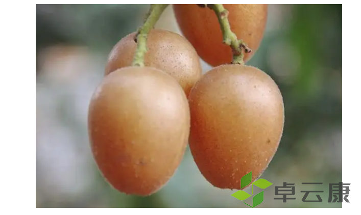 微信截图_20221213112006