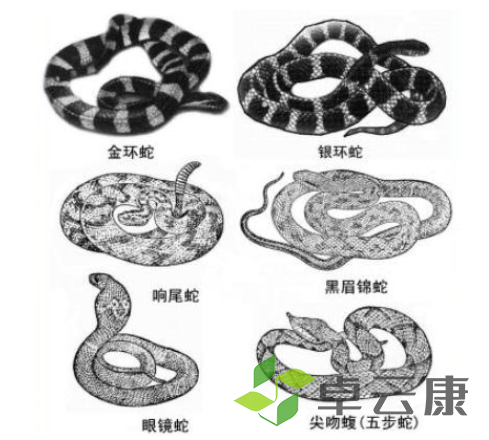 微信截图_20221213123549