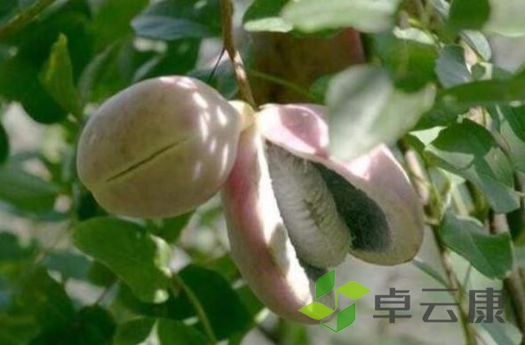 360截图20221213145537727