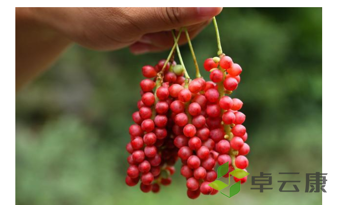 微信截图_20221213172611