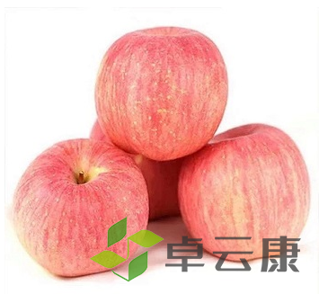 微信截图_20221213181318