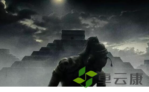 微信截图_20221213202930
