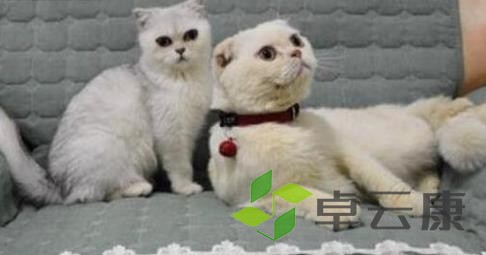 360截图20221213203730568