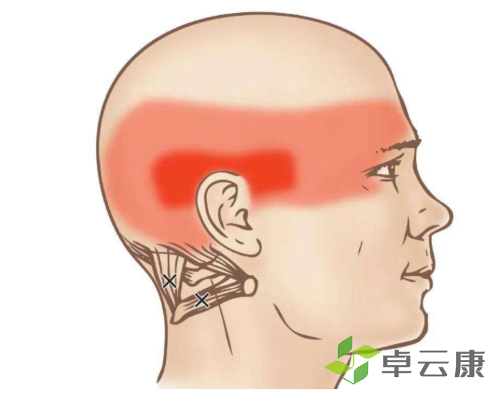 微信截图_20221214120748