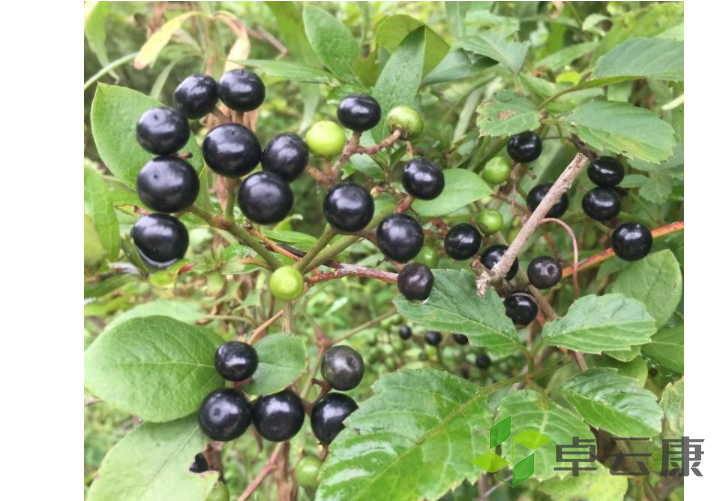 微信截图_20221214140610