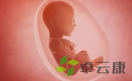 QQ截图20221214153137