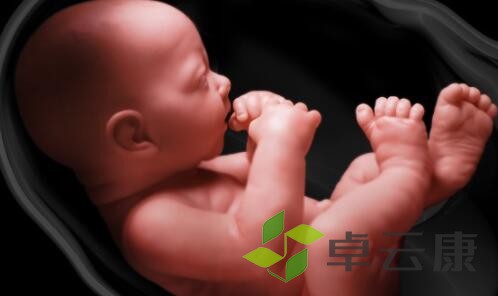QQ截图20221214153303