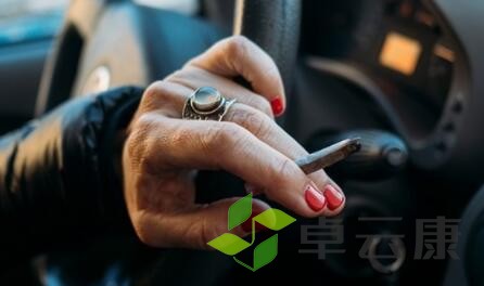 QQ截图20221214172557