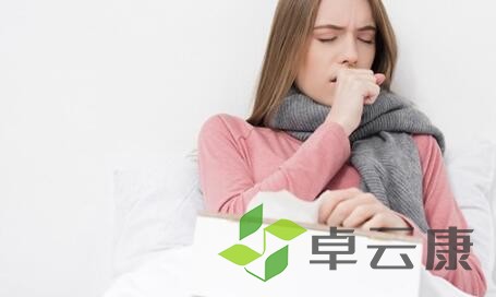 QQ截图20221214185718