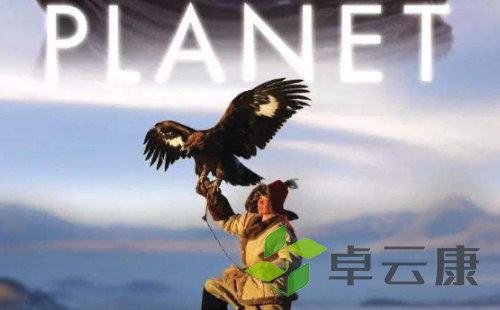 微信截图_20221214195441