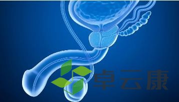 360截图20221215175713471