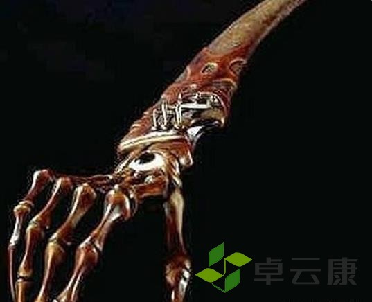 360截图20221215195051572