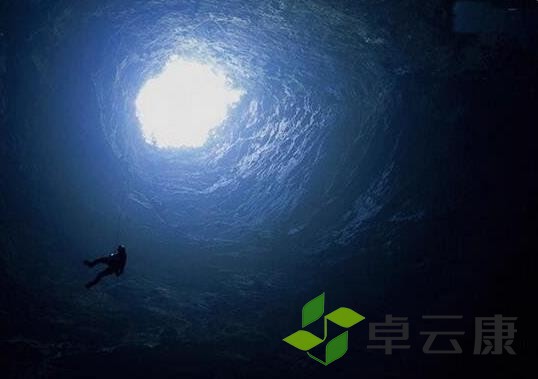 360截图20221215195735606