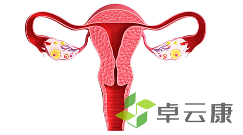 微信截图_20221215213836