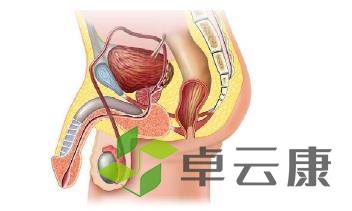 360截图20221216114819501