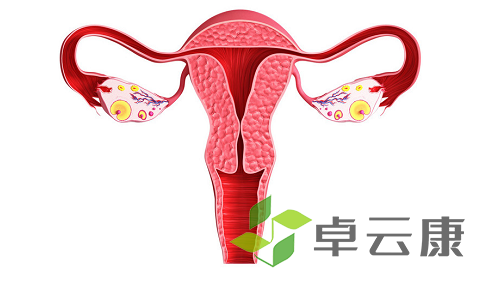微信截图_20221216115030