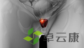 360截图20221216120641351