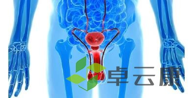 360截图20221216165608452