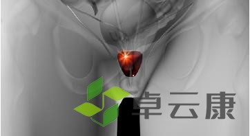 360截图20221216175558593