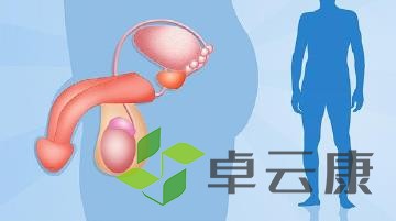 360截图20221216181128603