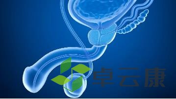 360截图20221216185402318