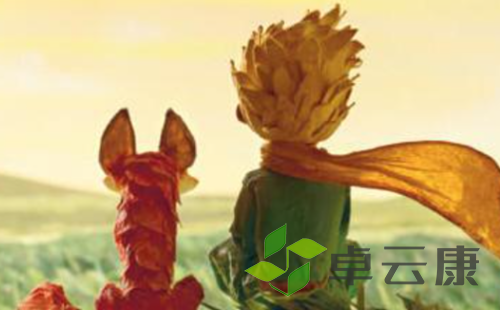 微信截图_20221216203339
