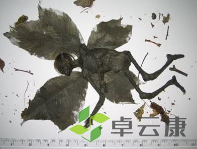 360截图20221216211240592