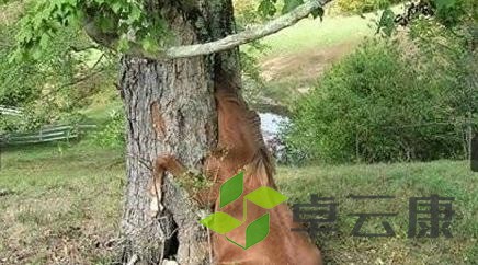 360截图20221216213917407