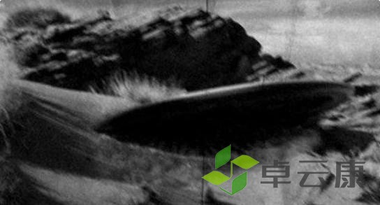 360截图20221216220134851